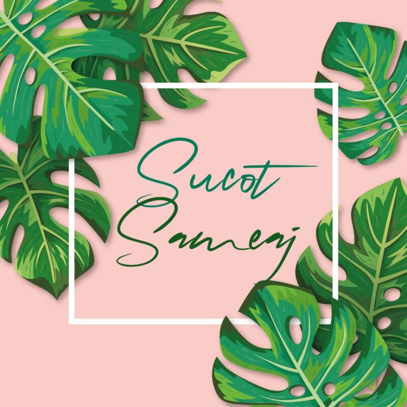 S17 Peach and Green