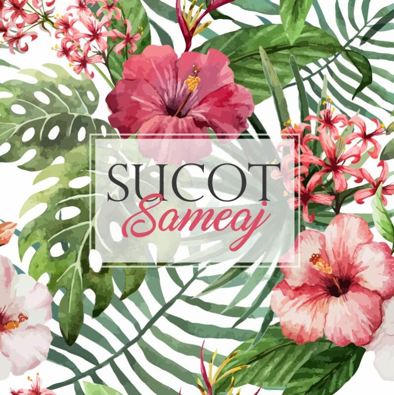 S4 Hibiscus